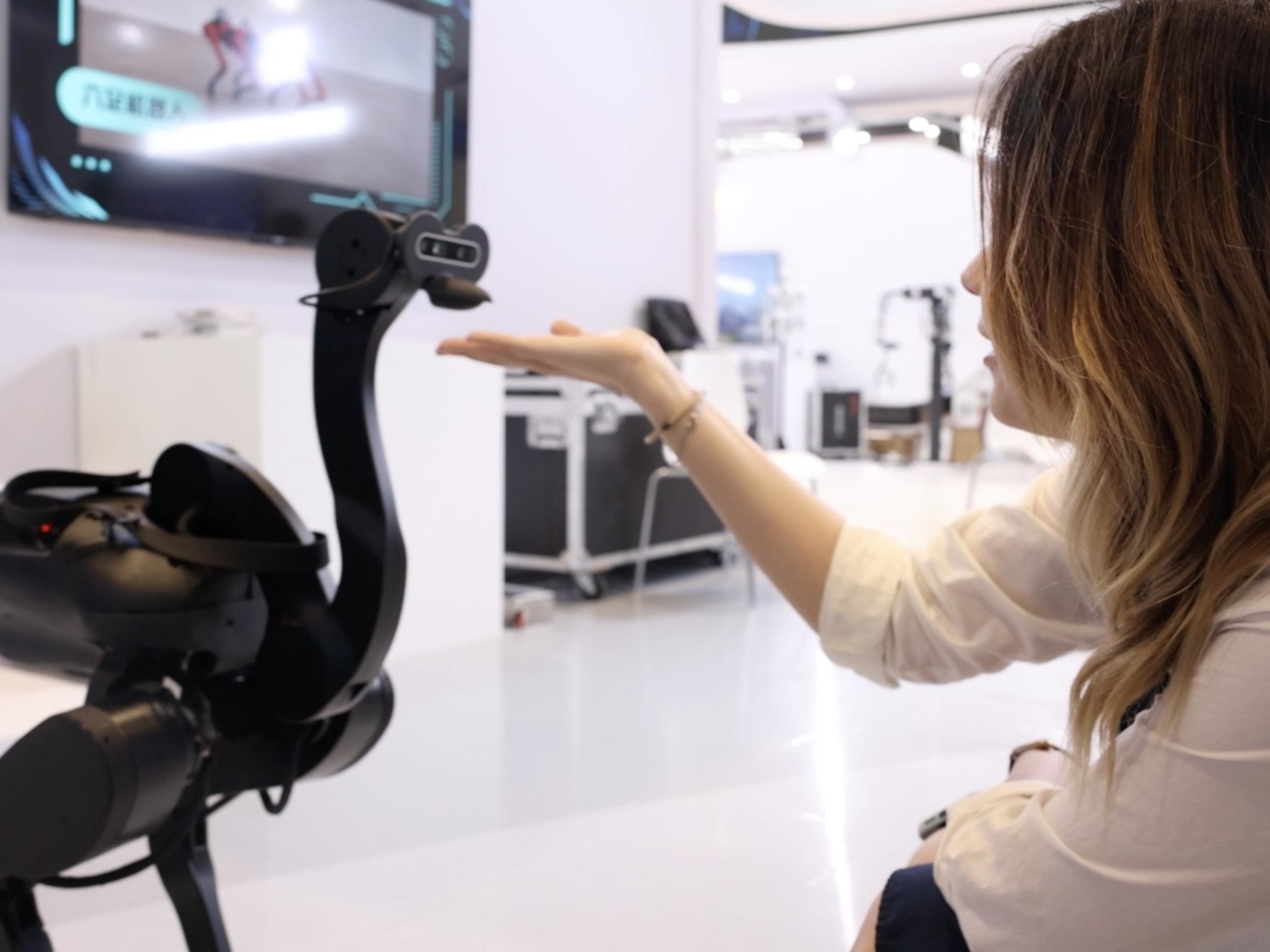 Russian student in GDTE: I want a machine ostrich