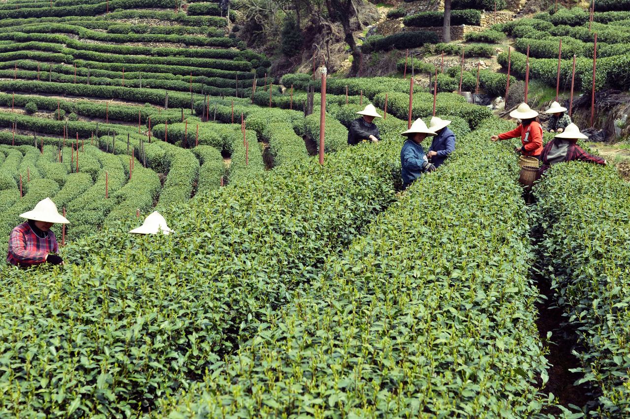 Writing Zhejiang: The first batch of 