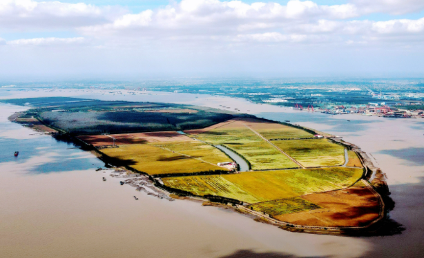 Global Focus | COP15 adopts Kunming Declaration and Xi calls for new journey of green development