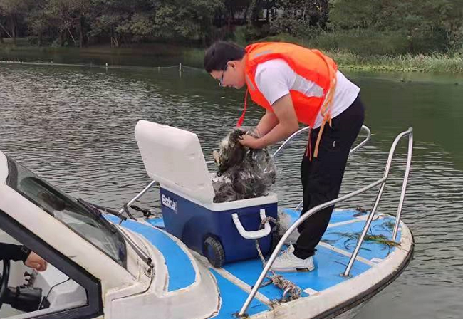 Zhejiang Highlights | China-Africa Economic and Trade Forum and The fourth International Petroleum and Natural Gas Enterprises Conference upcoming