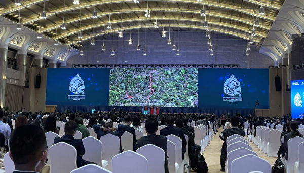 Global Focus | COP15 kicks off and China issues outline to promote standardized national development