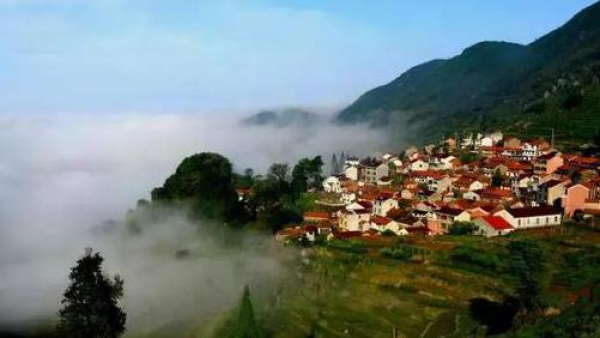 ZJ's Pick: The hidden beauty in Shengzhou awaits your appreciation