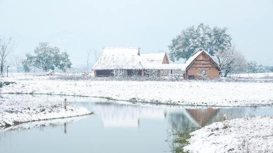 ZJ Snapshots: 10,000 pics record the sacred land of civilization