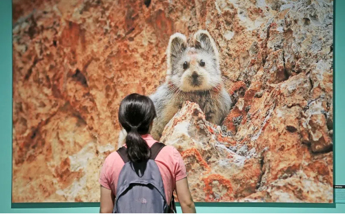 Zhejiang marks International Biodiversity Day