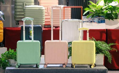 State Grid Jiaxing empowers local luggage industry to go global