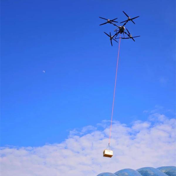 Taizhou's waxberries take off with drone deliveries