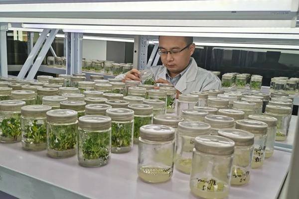 Young scientist contributes to agricultural innovation in Jiaxing