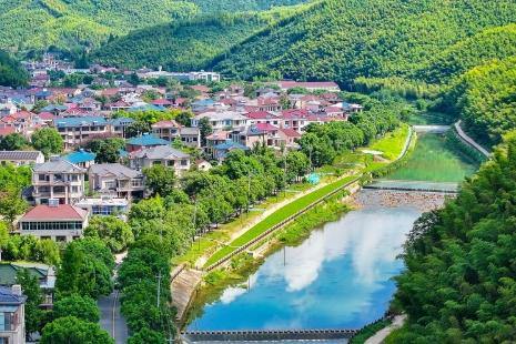 Zhejiang charts next chapter in sustainable forestry