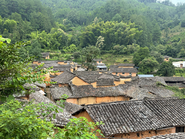 Traditional villages regain vitality in Lishui