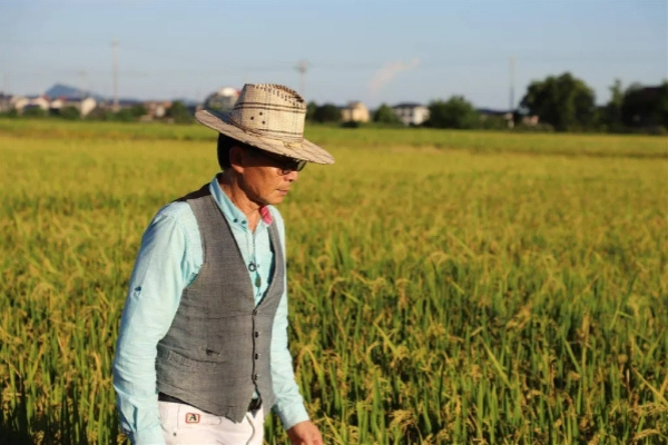 Jinhua entrepreneur brings China's hybrid rice to Angola