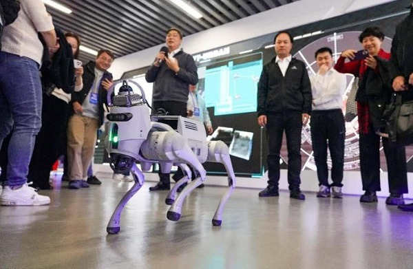 Hangzhou fosters business-friendly environment to unleash innovation potential