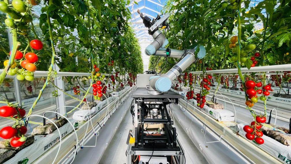 Chinese scientists develop world's first full-process intelligent plant-breeding robot