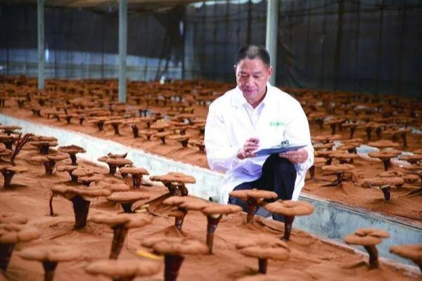 Jinhua's Shouxiangu revitalizes TCM with tech innovation