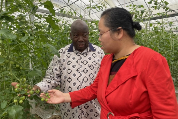 South African expert helps advance modern farming in Taizhou