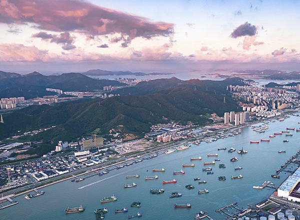 Zhoushan explores squid byproducts for health industry growth