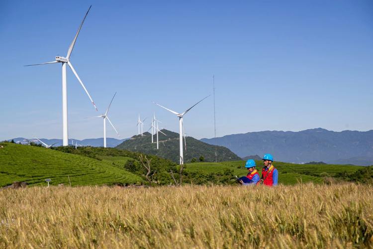 Zhejiang unveils blueprint to restore ecosystems