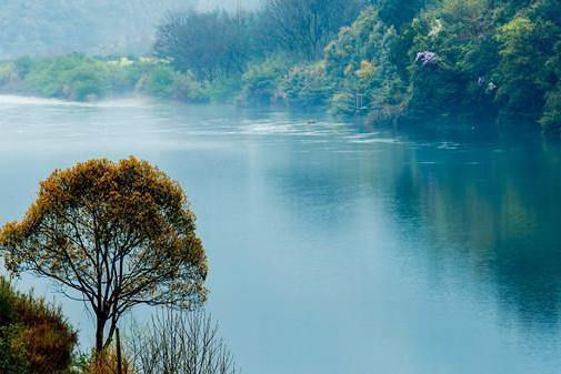 Quzhou transforms green resources into sustainable growth