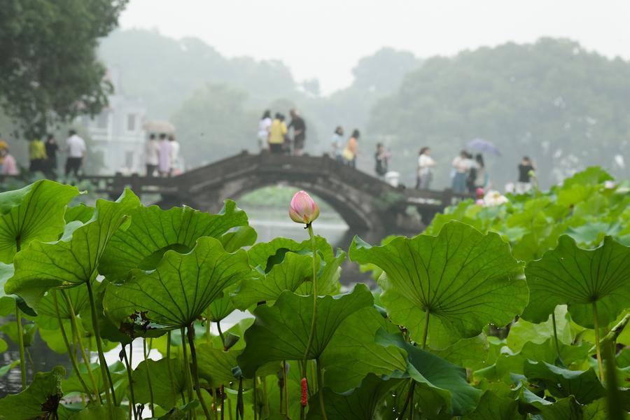 Hangzhou to host 5th World Congress of Biosphere Reserves this month