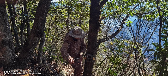 Hangzhou records nearly 700 terrestrial vertebrate species