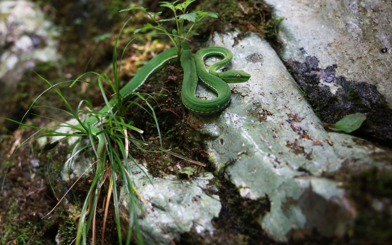 1971745376914296832.jpg 2329171626765582359 (2).jpg