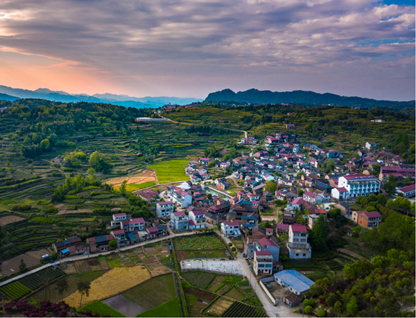 1999036276518400000.png 1210 绍兴prosperity图片1_600.png