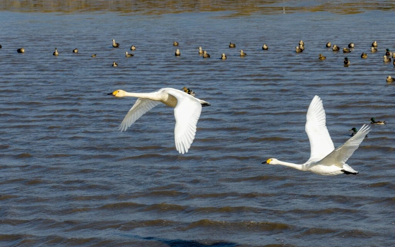 Zhejiang seeks to realize value of ecological assets