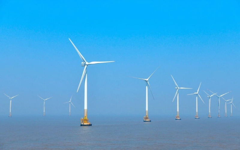 2038787493922336768.jpg Green (1).jpg