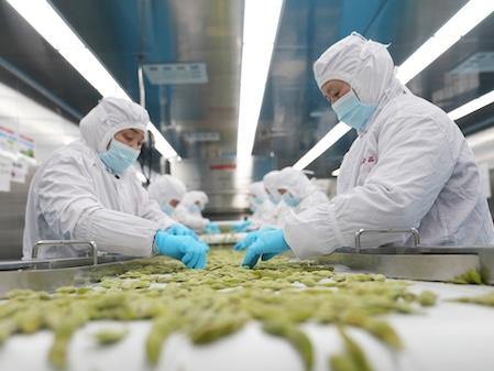Ningbo enterprises reap benefits as RCEP marks three years of full implementation