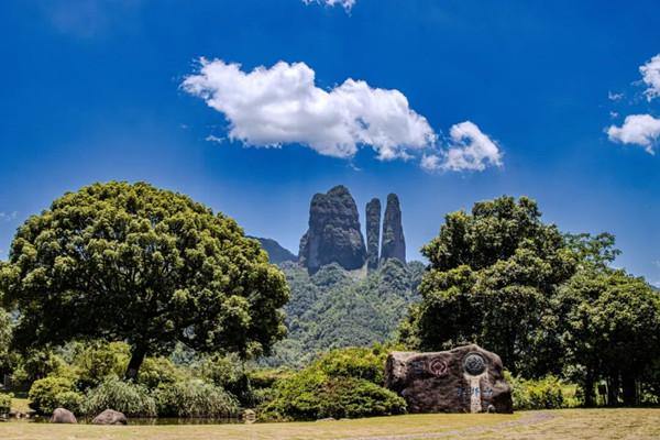 1985890605351297024.jpg 1-3_副本.jpg