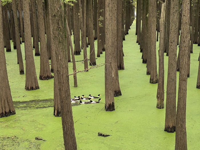 1990961685459886080.jpg 青山湖2(1).jpg