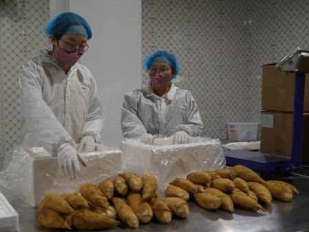 Qingtian winter bamboo shoots head to Europe