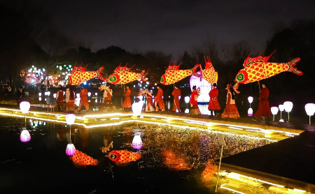 Xixi Wetland lights up for Chinese New Year