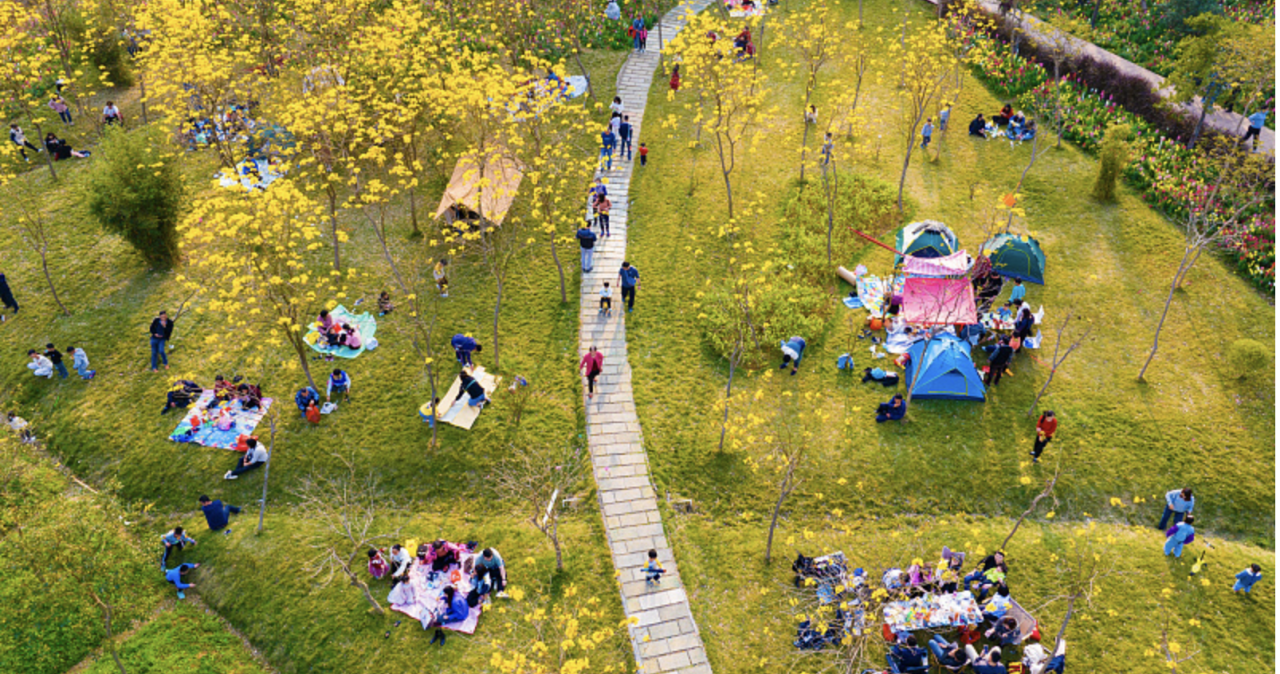 Camping tourism rebounds as pandemic eases and spring comes