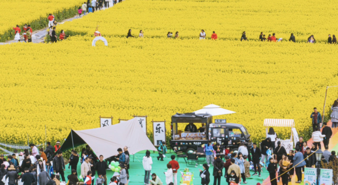 Meet the golden spring in Wenling