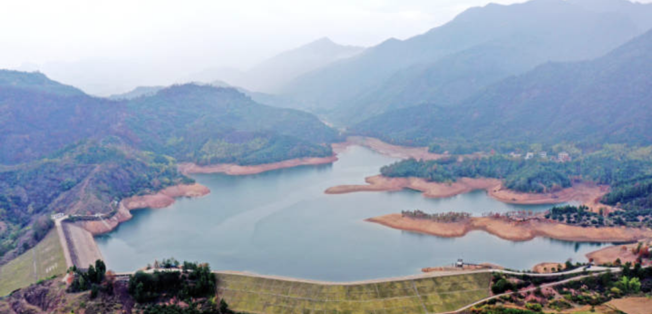 Xianju: The reservoir redwood forest is stunning in early winter