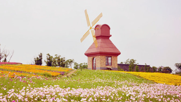 A wonderful place to enjoy different flower views in all four seasons