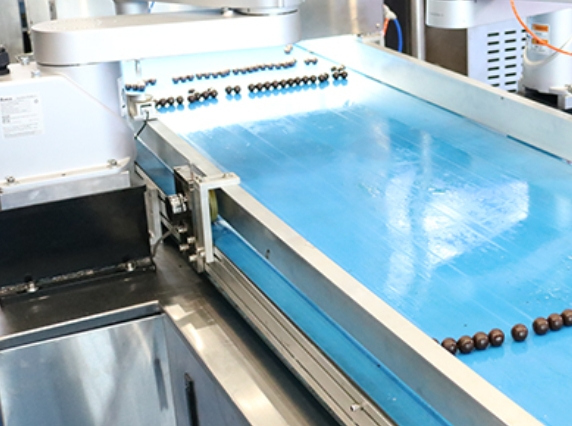 Taizhou NPC deputies focus on machine tool, pharmaceutical industries