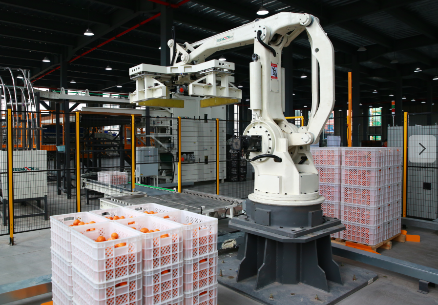 Zhejiang draws a new picture for digital reform on rural development