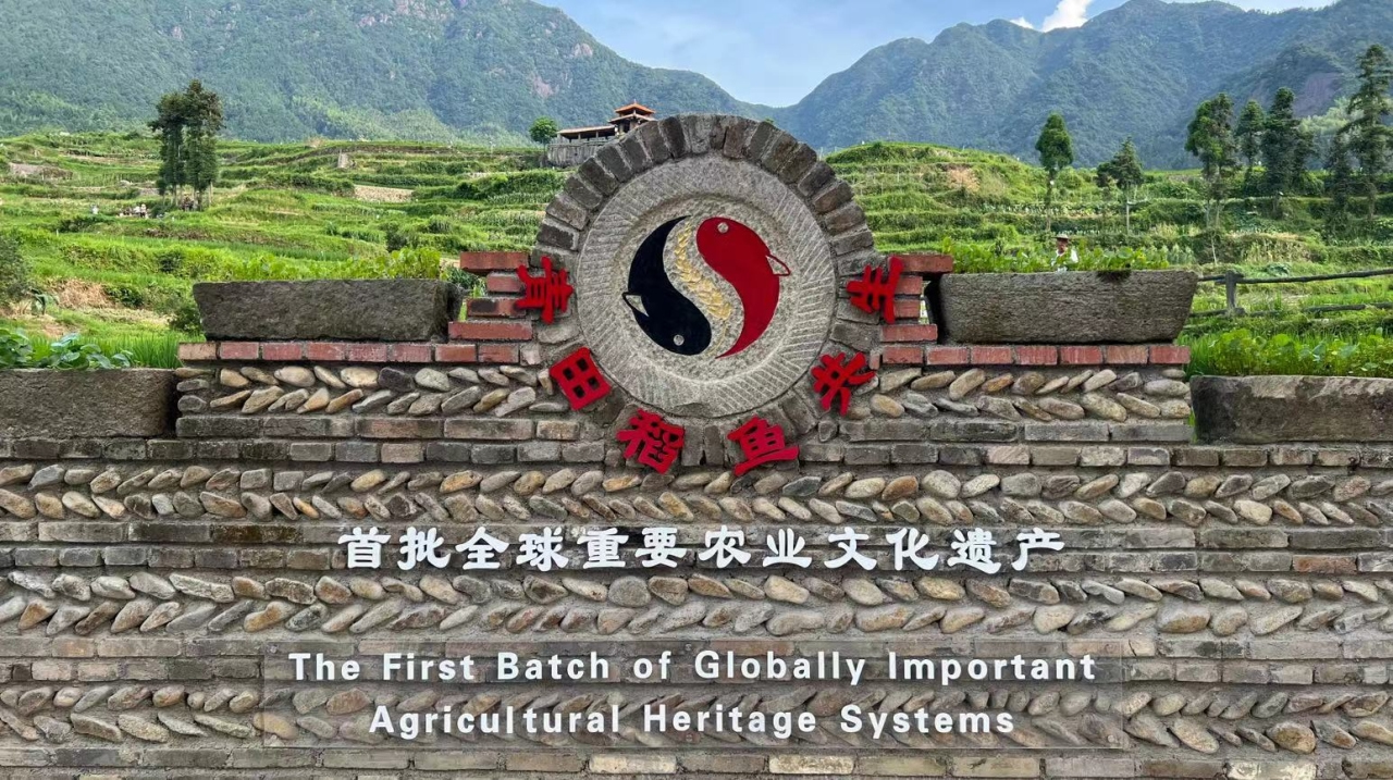 Fangshan: the birthplace of the Rice-fish Culture System