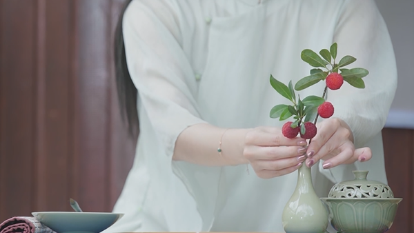 Seasonal Red Bayberries