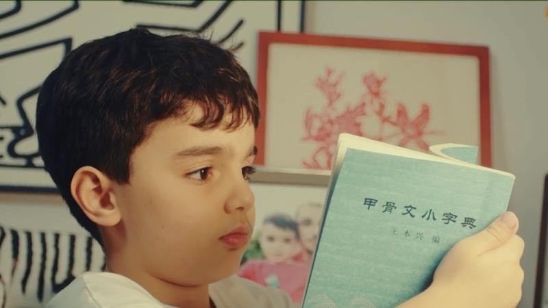 Danyal's Chinese dictionary