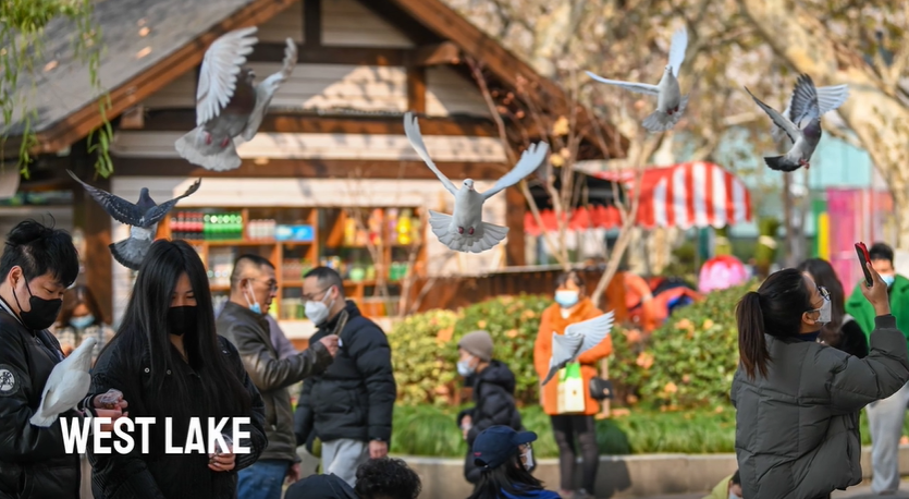 Recovery Observations | Life after the New Year holiday in Zhejiang