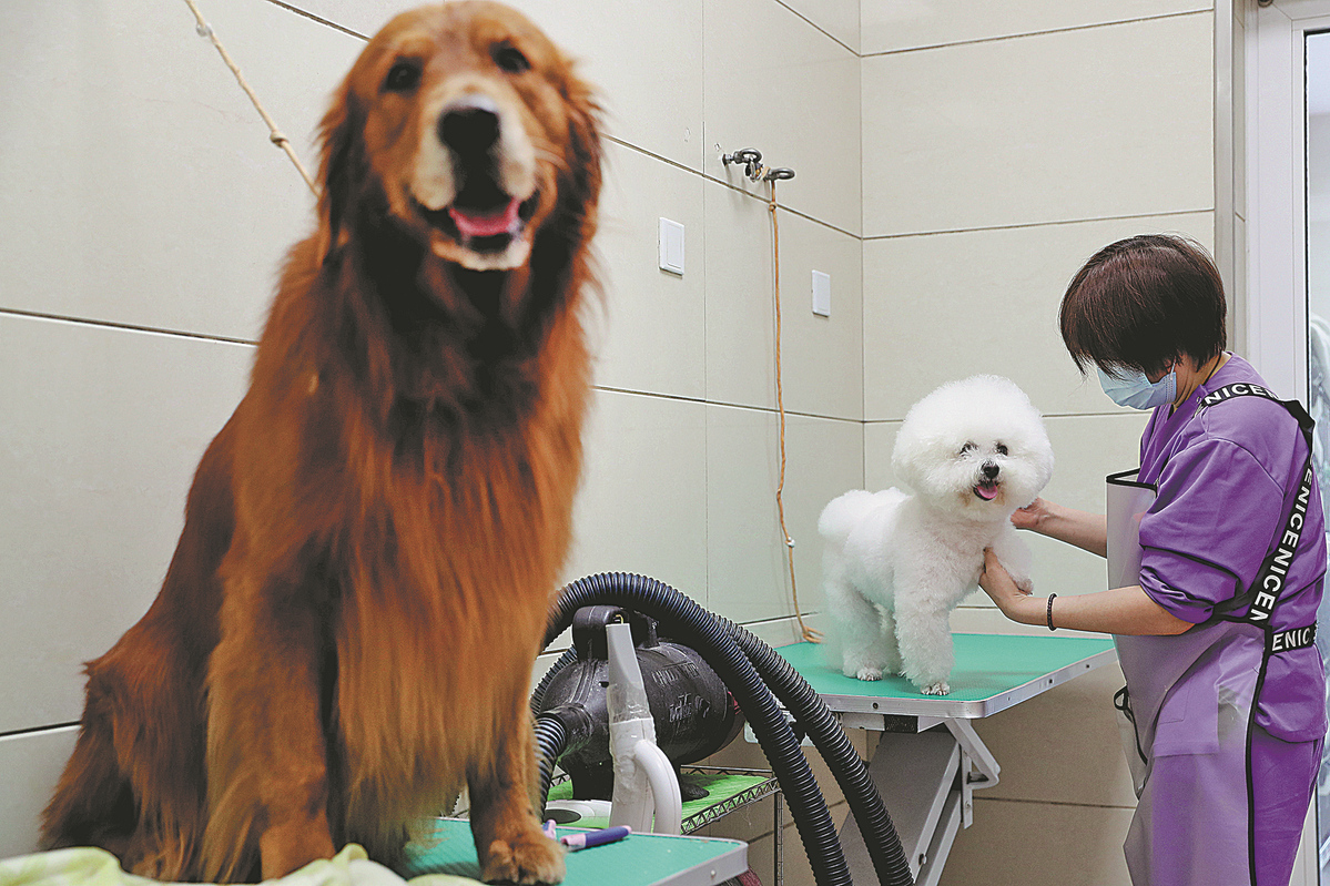 Calls for new COVID-19 pet quarantine measures