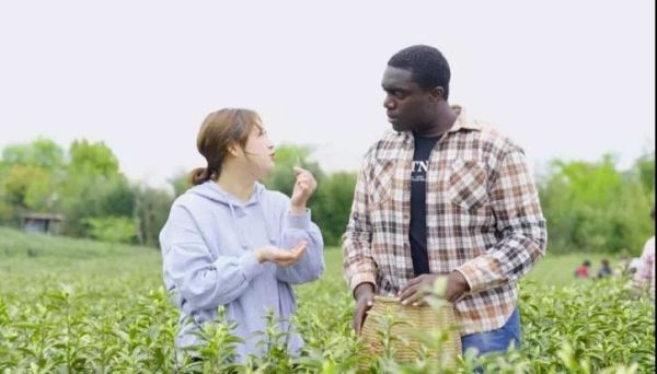 The white tea blueprint to a well-off life