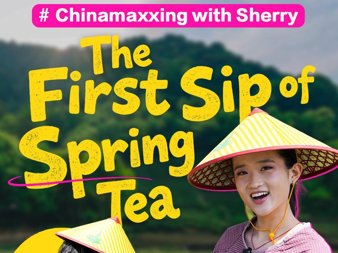 The first sip of spring tea