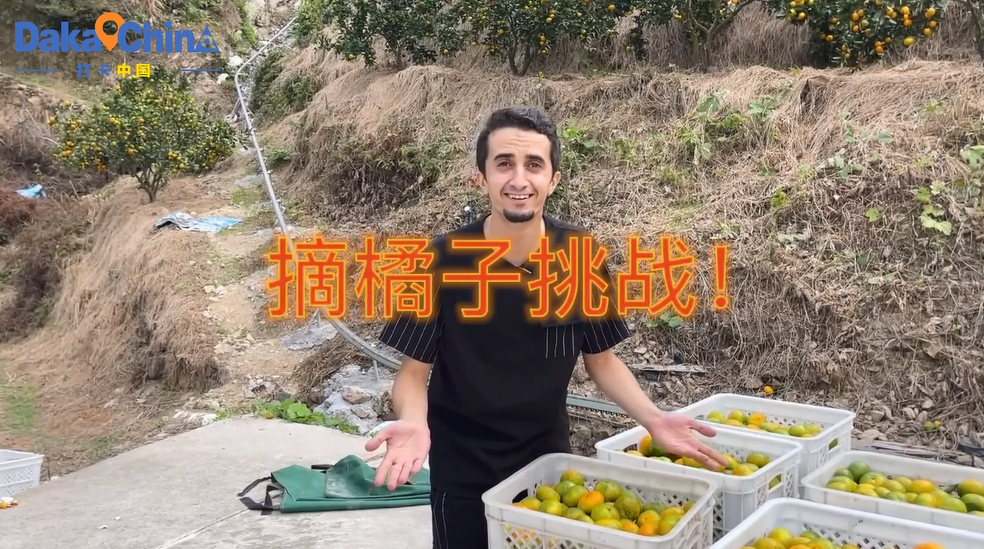 Yongquan Tangerine in the eyes of a Jordanian fan of Chinese cross-talk