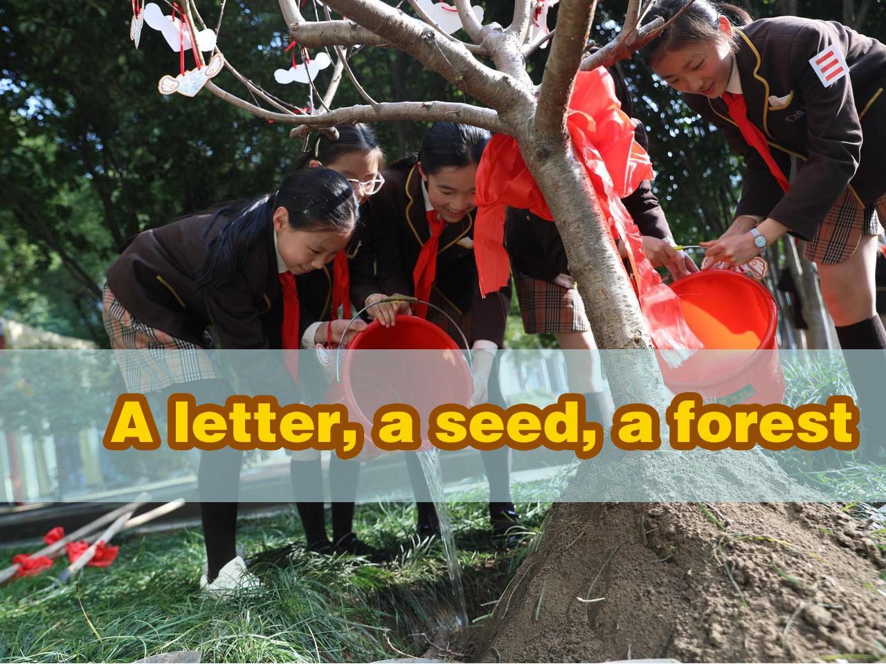 A letter, a seed, a forest
