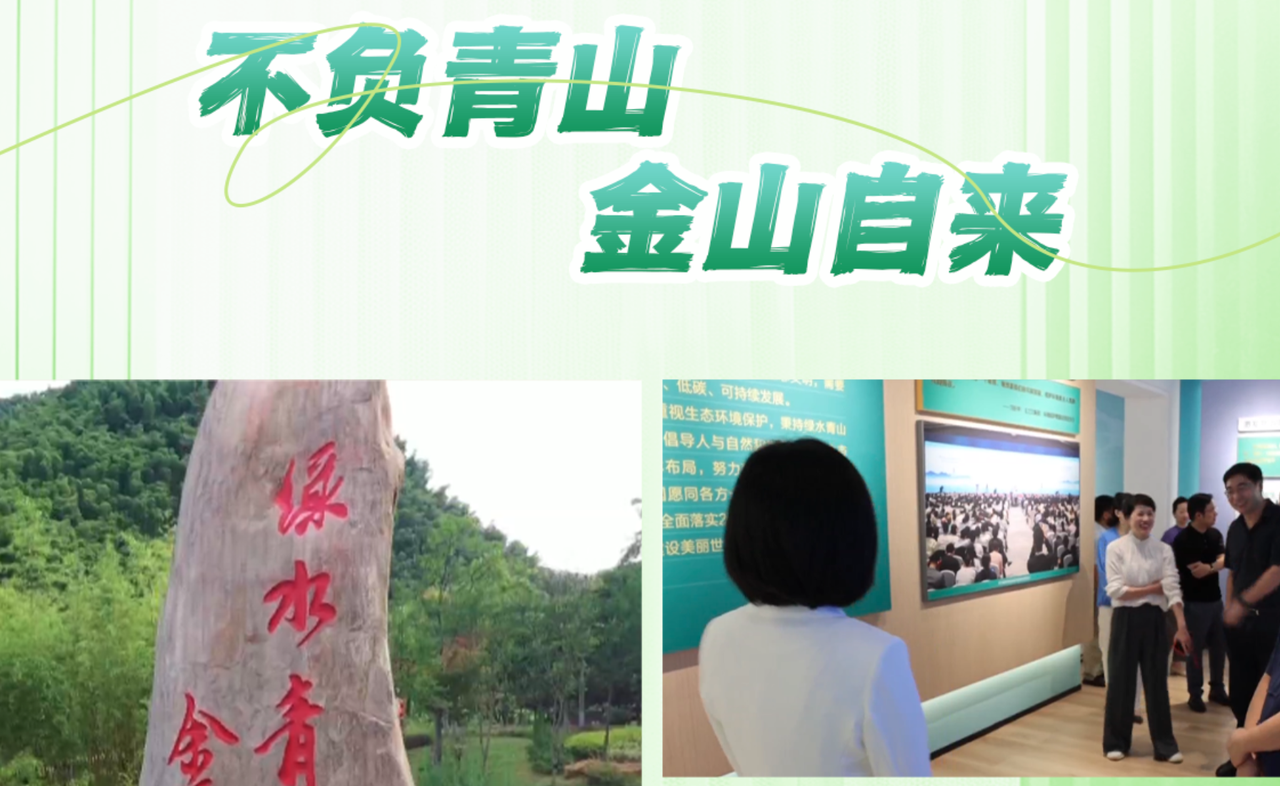 Want to Learn How to Protect the Environment? Go to Zhejiang, China