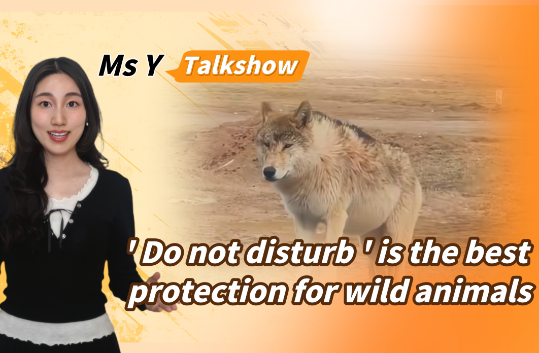 Ms Y Talkshow丨'Do not disturb' is the best protection