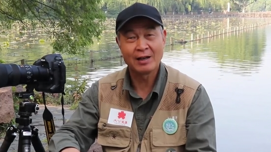 Opportunity China | Eight years of guarding mandarin ducks at the West Lake